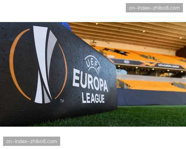 欧足联站席安全新规要求每平方米最多容纳4.7名观众